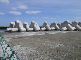 製作完了 (2).JPG