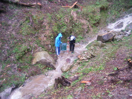 2011年05月10日_16時45分41秒.JPGのサムネイル画像