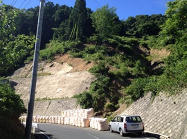 2012-07-18 08.25.05.jpg