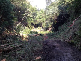 2012-09-22 09.05.03.jpg