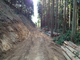 2012-09-22 09.06.03.jpg