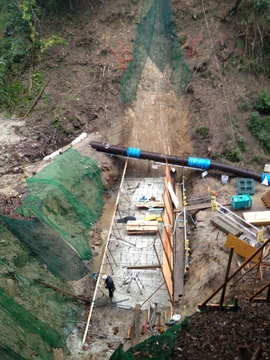 2012-11-06 08.04.22.jpg