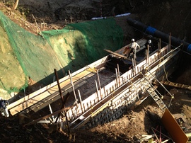 2012-11-08 08.04.17.jpg