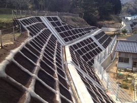 2013-03-16 09.45.38.jpg