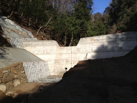 2013-03-22 08.27.03.jpg