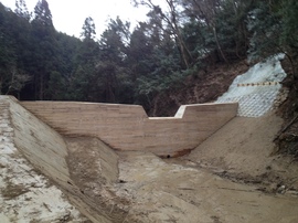 2013-03-25 07.32.50.jpg