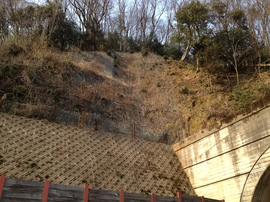 2013-03-06 15.17.12.jpg