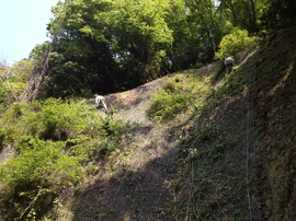 2013-05-14 09.43.24.jpg