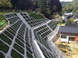 2013-05-08 08.19.56.jpg