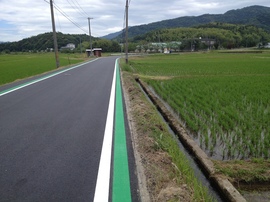 2013-06-11 10.17.02.jpg