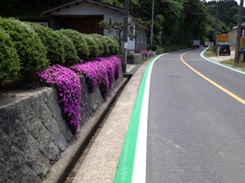 2013-06-11 11.29.40.jpg