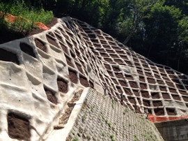 2013-07-08 11.34.17.jpg