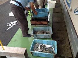 2013-10-05 08.54.18.jpg