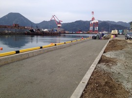 2014-01-25 10.58.15.jpg