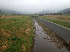 2013-06-15 08.56.52.jpg