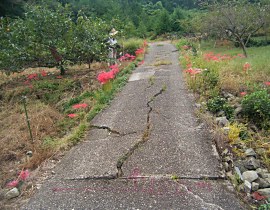 農道補修工事01